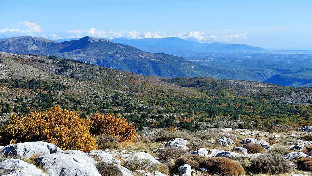 "La Valeriane" Διαμέρισμα Γκρας Εξωτερικό φωτογραφία